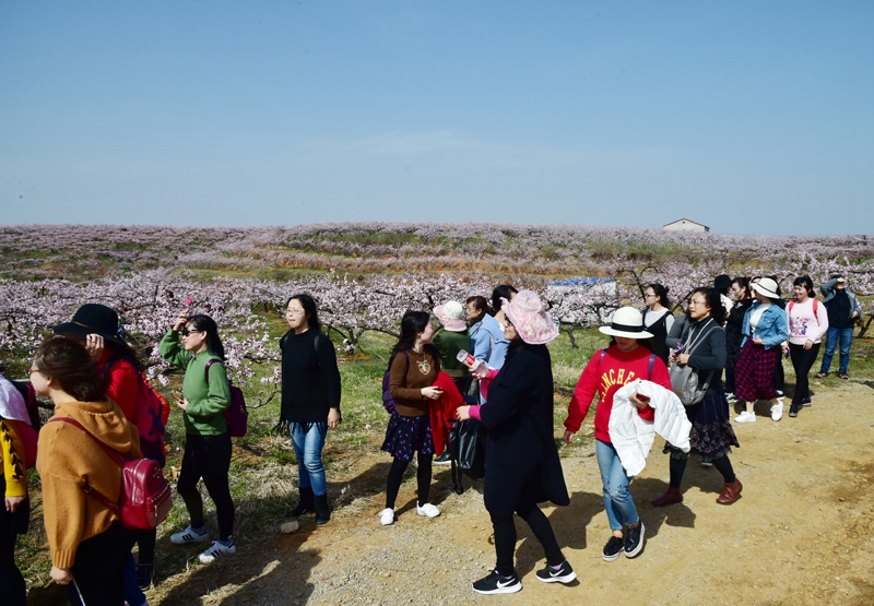 1523084105206552.jpg gy01.jpg