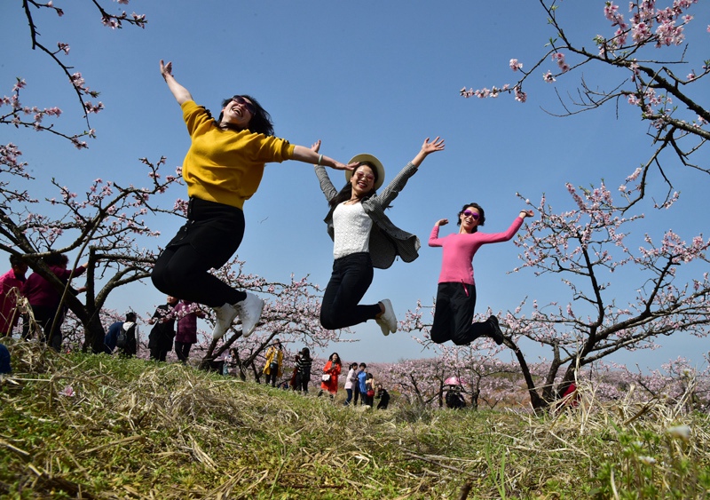 1523084217296575.jpg gy06.jpg