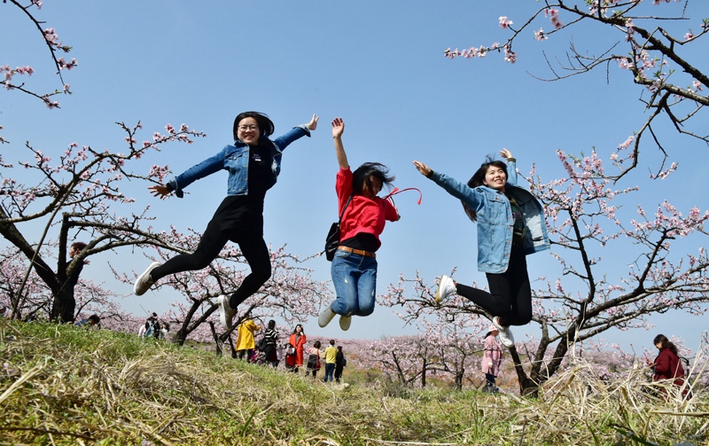 1523084261456007.jpg gy07.jpg