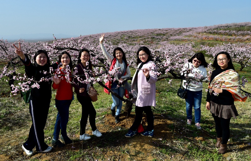 1523084276121487.jpg gy08.jpg