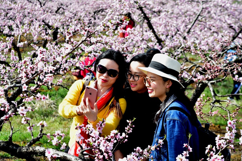 1523084283794581.jpg gy09.jpg