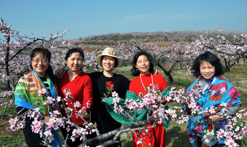 1523084289663980.jpg gy10.jpg