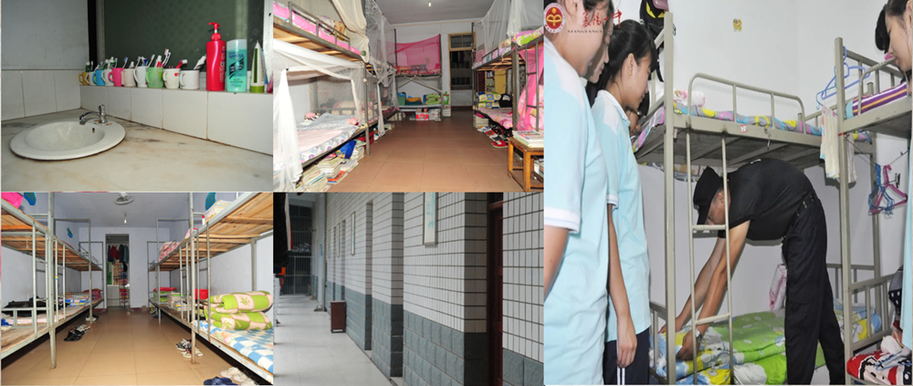 1529659899116710.jpg gy10.jpg