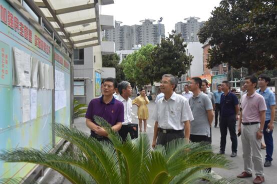 1534996698995927.jpg 05.jpg